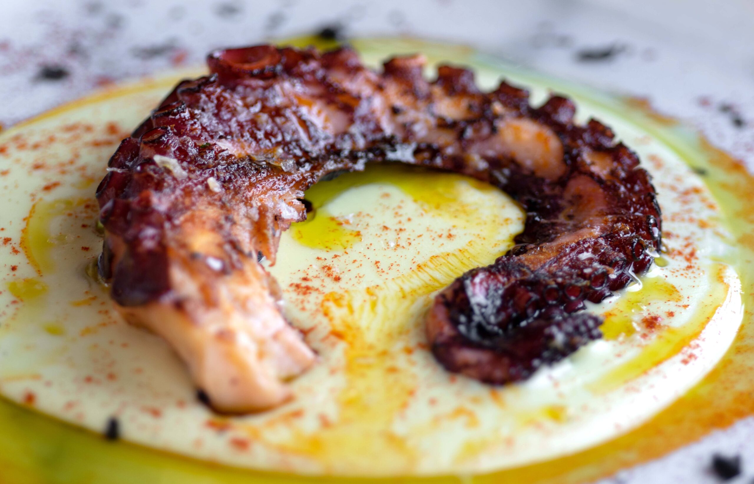 pulpo_silvia_herranz